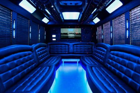 36 Passenger Party Bus interior