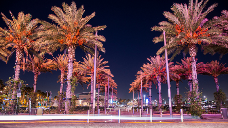 The Most Amazing Anaheim Hidden Gems To See…